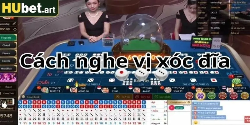 Hướng dẫn cách nghe vị xóc đĩa hiệu quả nhất