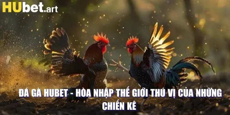 Tìm hiểu sảnh đá gà tại Hubet