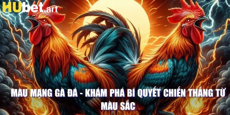 màu mạng gà đá