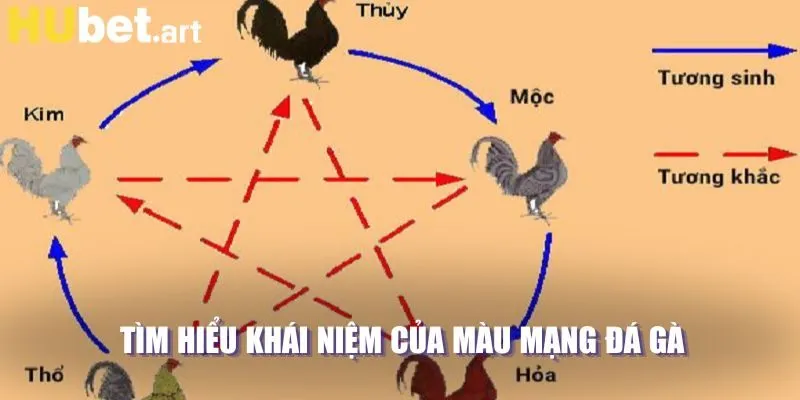 Tìm hiểu khái niệm của màu mạng gà đá